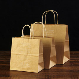 Taking-out handbag